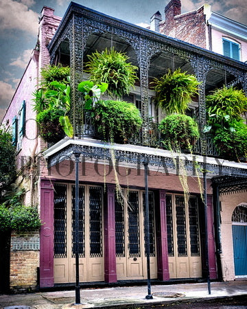 French Quarter New Orleans (8x10 on Paper)