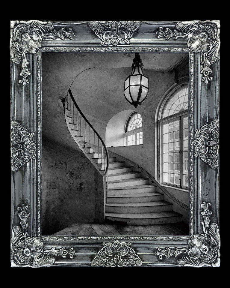 16x20 Metal Photograph With Custom Frame