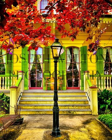Marigny, New Orleans (8x10 on Paper)