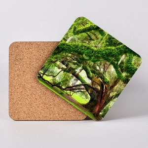 City Park Live Oak Tree. Hardboard Coaster with Cork Back