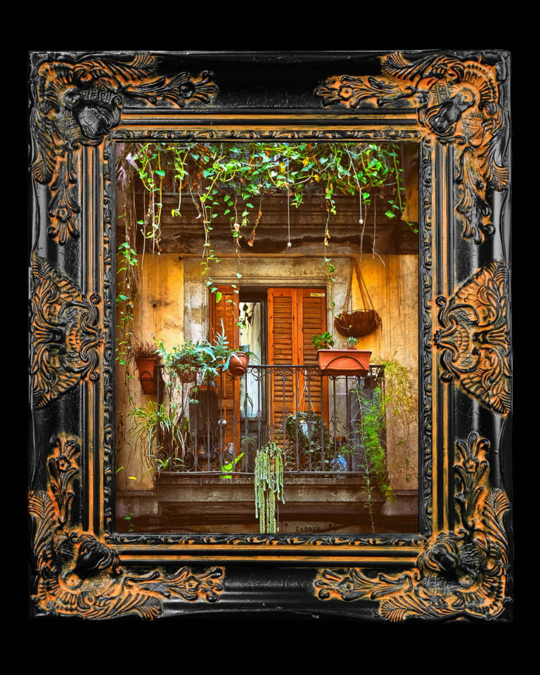 11x14 Metal Photograph With Custom Frame