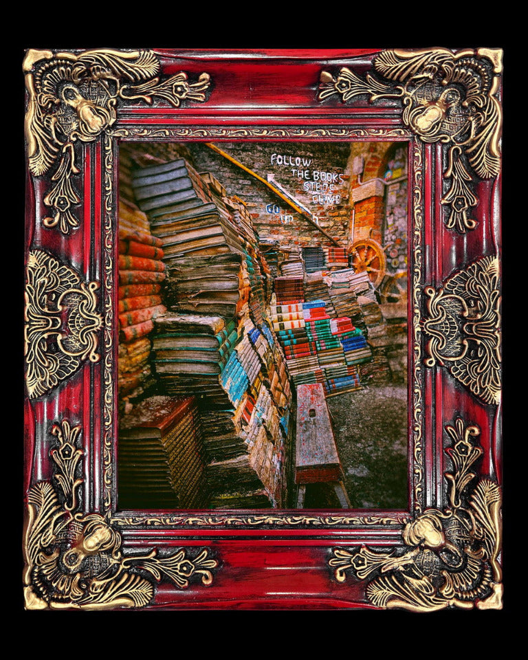 11x14 Metal Photograph With Custom Frame