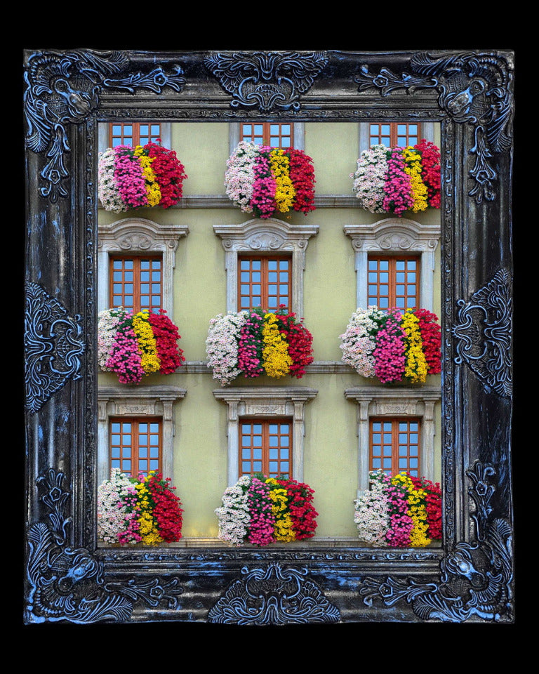 16x20 Metal Photograph With Custom Frame