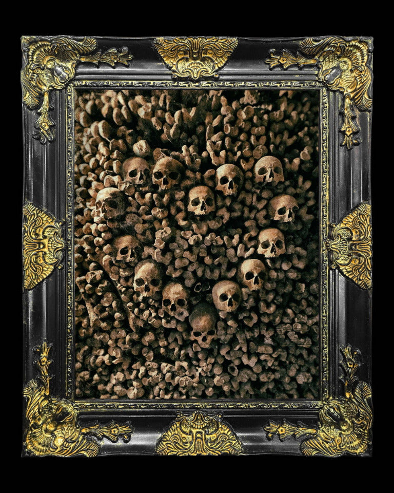 16x20 Metal Photograph With Custom Frame