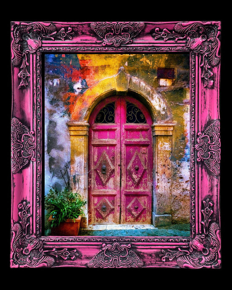 16x20 Metal Photograph With Custom Frame