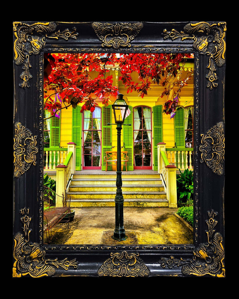 16x20 Metal Photograph With Custom Frame