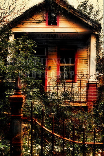 French Quarter, New Orleans 38