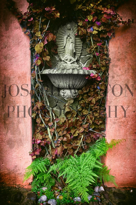 Mexico City, San Ángel 5