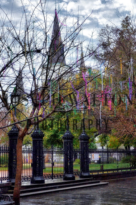 St. Louis Cathedral from St Ann St.
