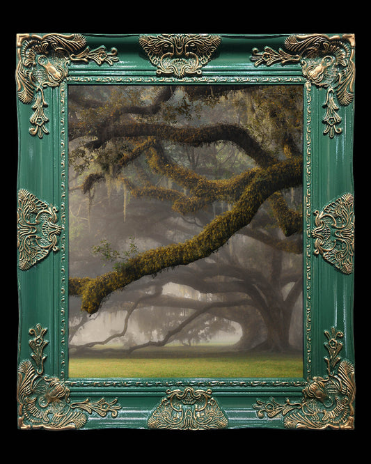 16x20 Metal Photograph With Custom Frame