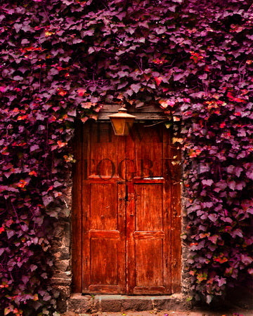 Red Mexico City Door (8x10 on Paper)