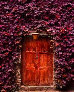 Red Mexico City Door (8x10 on Paper)