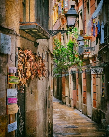 Barcelona, Spain (8x10 on Paper)