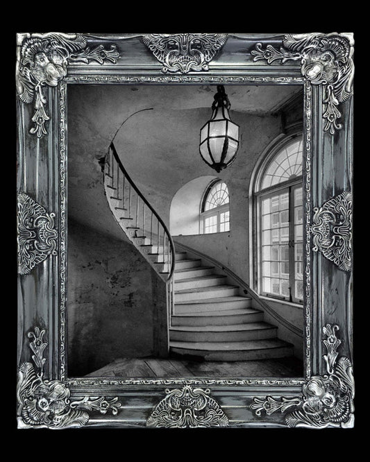 16x20 Metal Photograph With Custom Frame