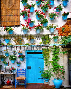 Beautiful courtyard in Córdoba, Spain   (8x10 on Paper)