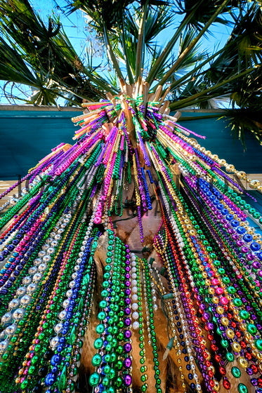 French Quarter, New Orleans 76