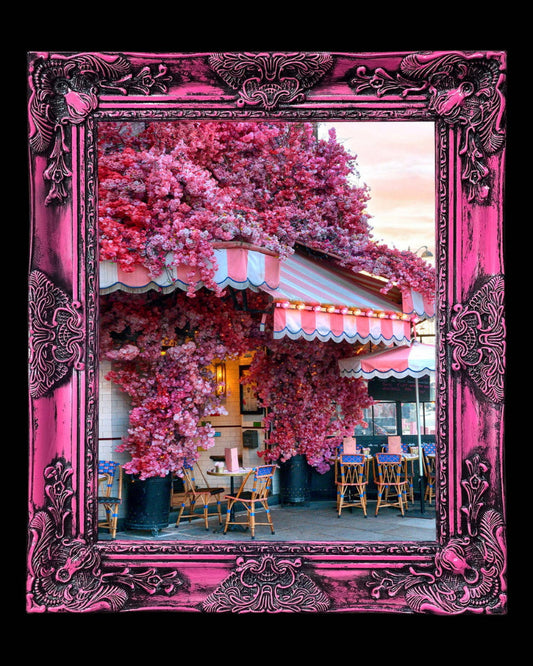 16x20 Metal Photograph With Custom Frame