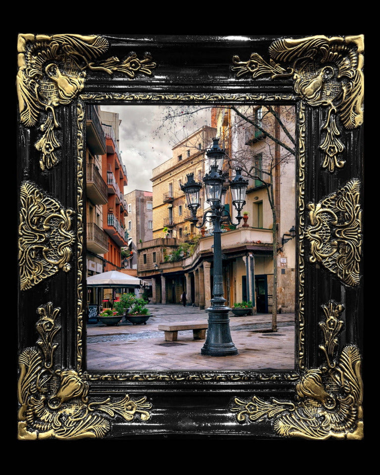 11x14 Metal Photograph With Custom Frame