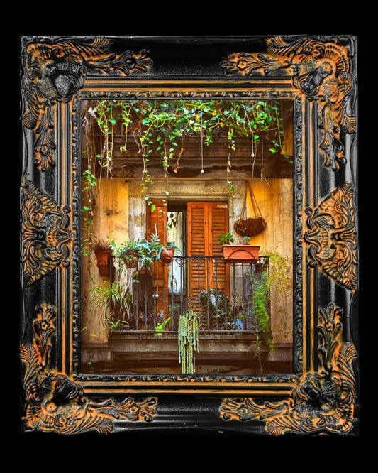 11x14 Metal Photograph With Custom Frame