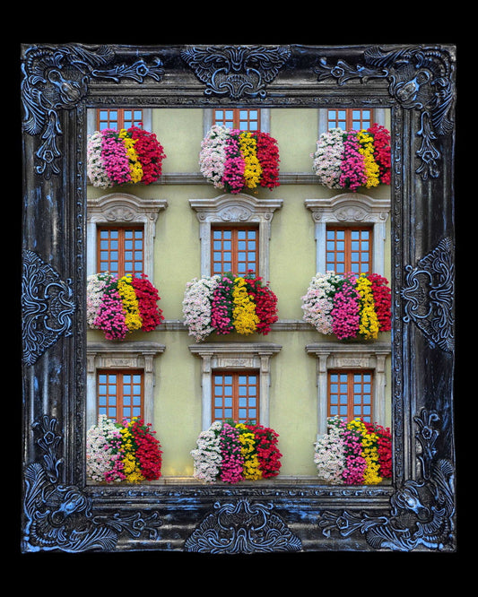 16x20 Metal Photograph With Custom Frame