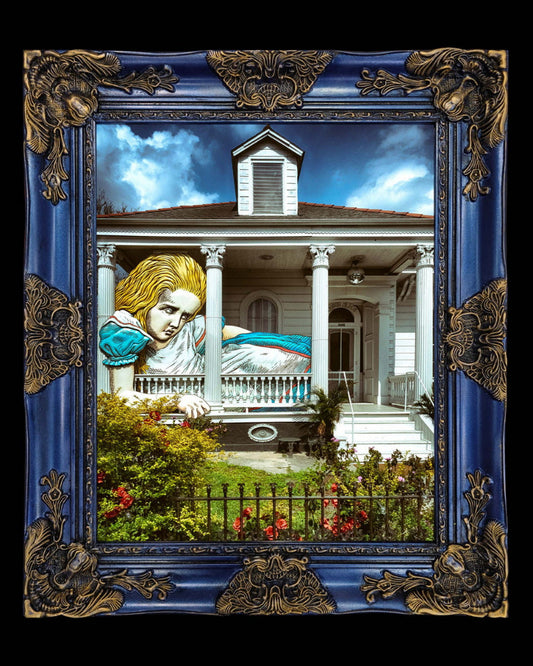 16x20 Metal Photograph With Custom Frame