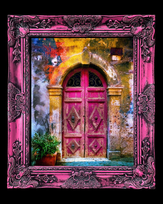 16x20 Metal Photograph With Custom Frame