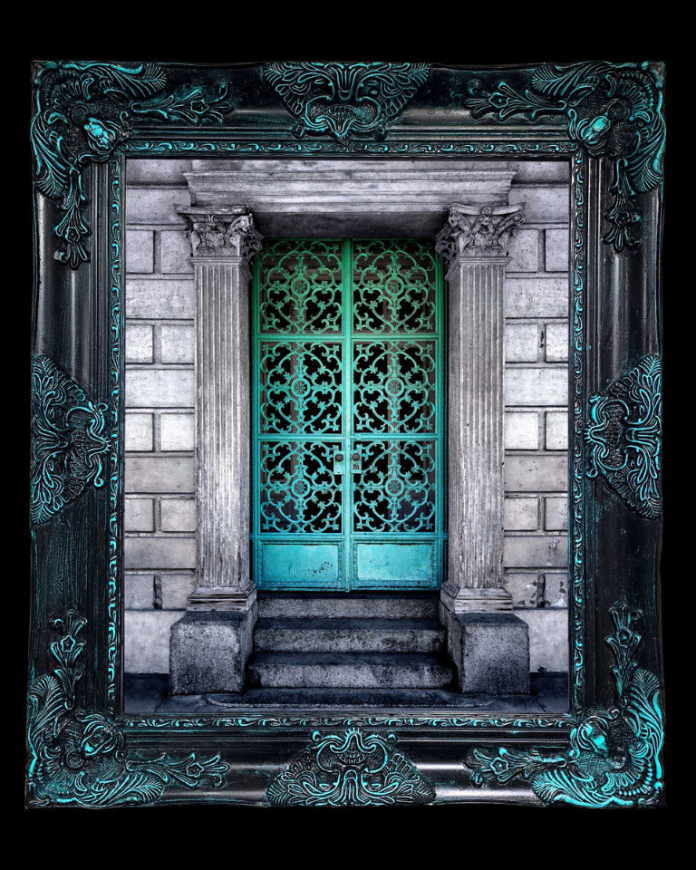 16x20 Metal Photograph With Custom Frame