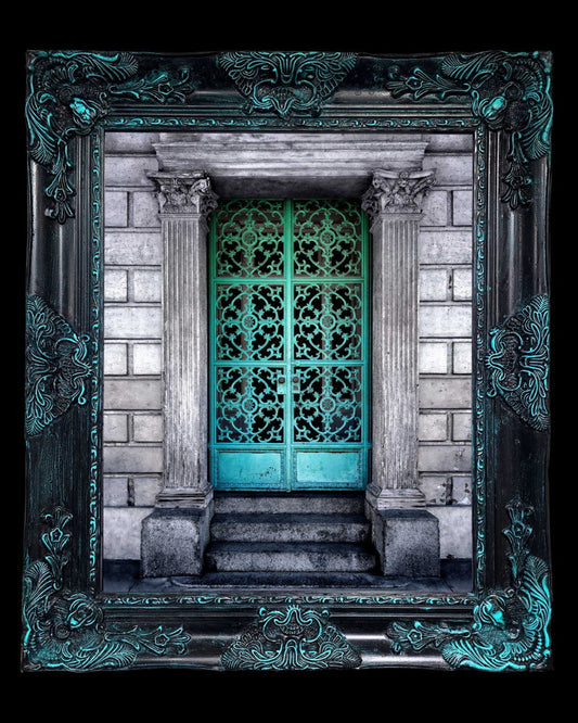 16x20 Metal Photograph With Custom Frame