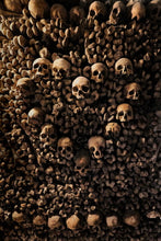 Load image into Gallery viewer, The Catacombs of Paris