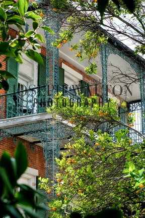 French Quarter Balcony