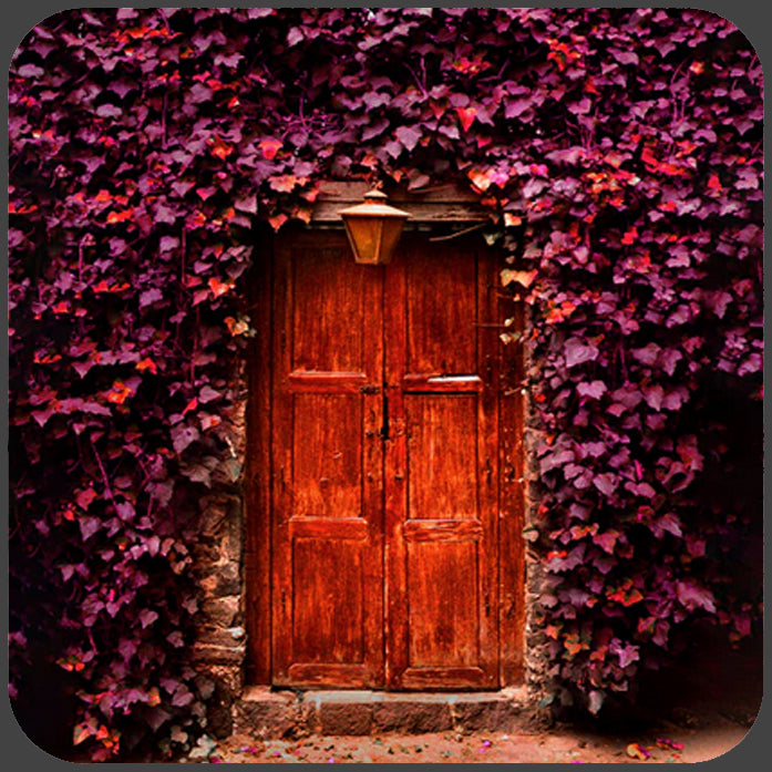 Mexico City Doorway