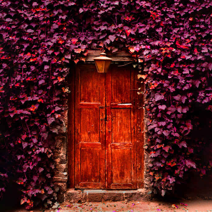 Mexico City Doorway