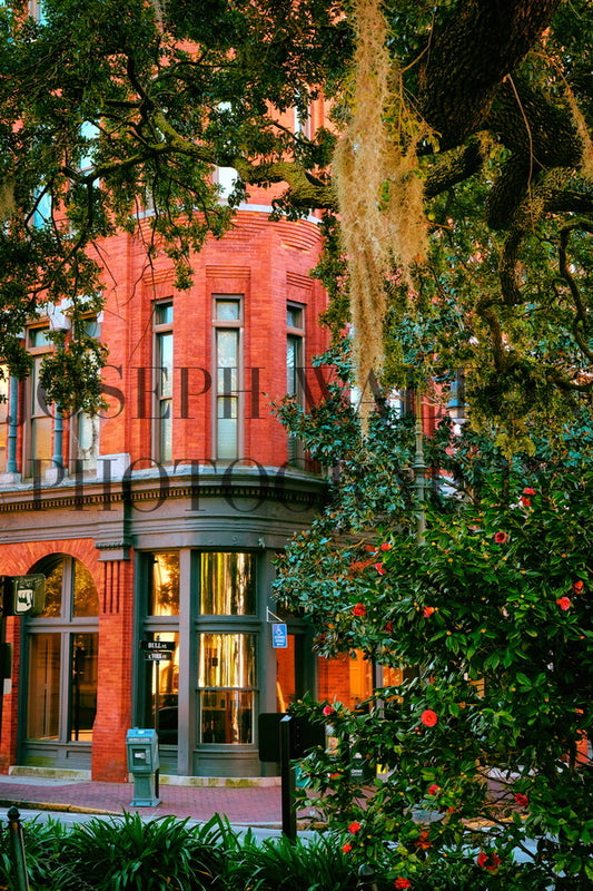 Savannah Georgia 3