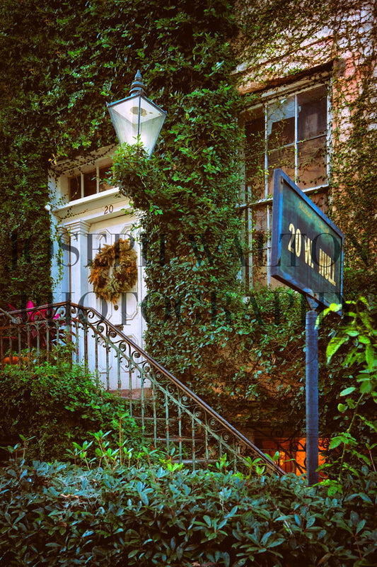 Savannah Georgia 8
