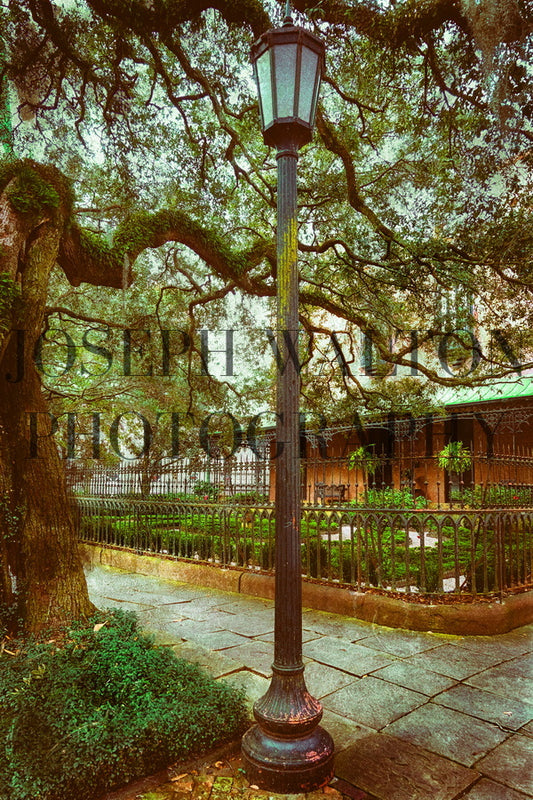 Savannah Georgia 10