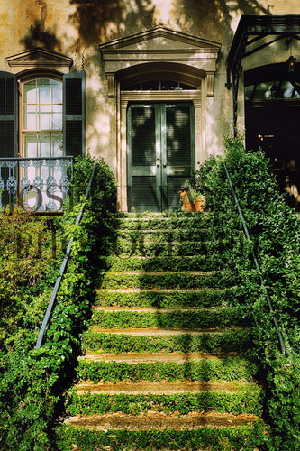 Savannah Georgia 15