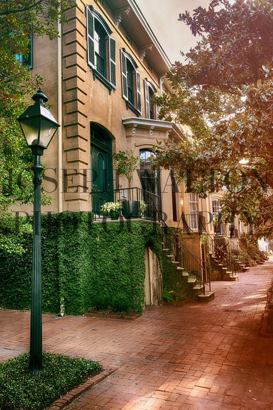 Savannah Georgia 16