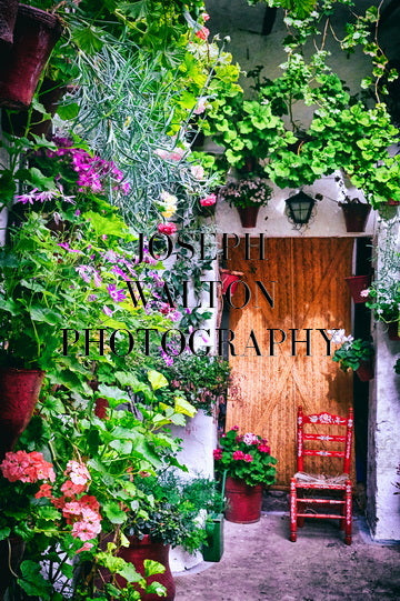 The Beautiful Patios Feria of Córdoba, Spain 4