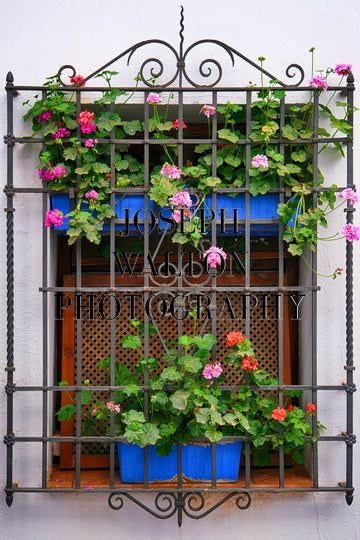 The Beautiful Patios Feria of Córdoba, Spain 6