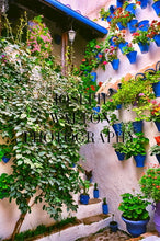 Load image into Gallery viewer, The Beautiful Patios Feria of Córdoba, Spain 7