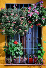 Load image into Gallery viewer, The Beautiful Patios Feria of Córdoba, Spain 8