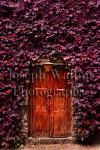 Red Mexico City Door