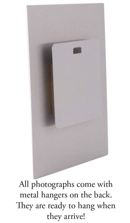 French Quarter, New Orleans 17